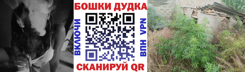 МЕФ Неман