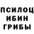 Псилоцибиновые грибы GOLDEN TEACHER Jeniya Saharov
