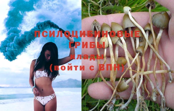 соль ск Горняк